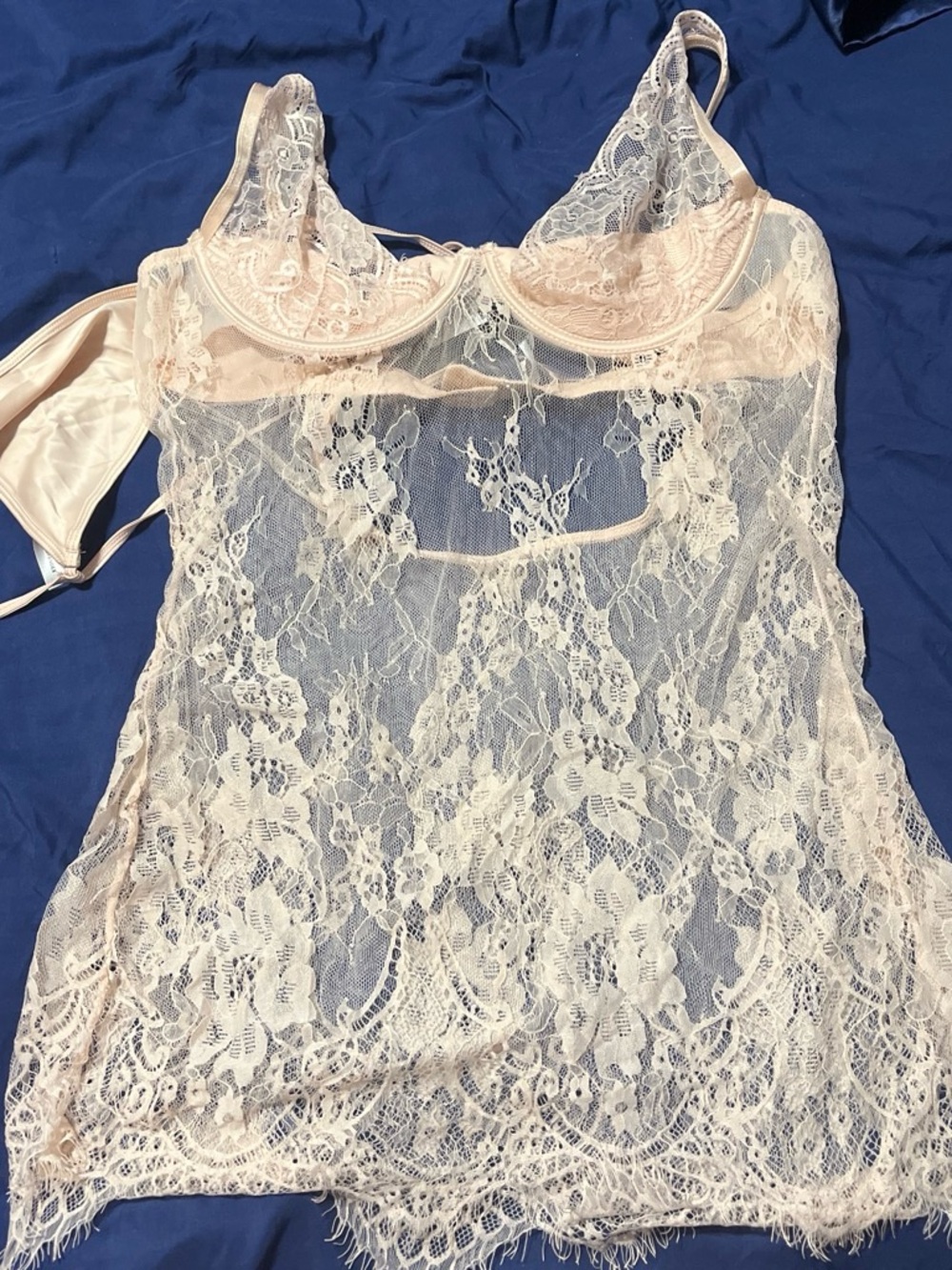 Fashion Nova Sheer Lace Chemise in Pale Pink